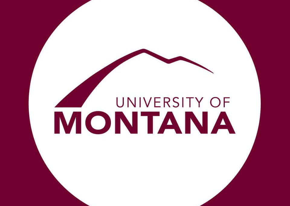 278664577_365698938928580_5255448427876168937_n