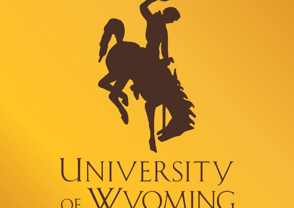 280548497_323280983255287_779295033425542090_n