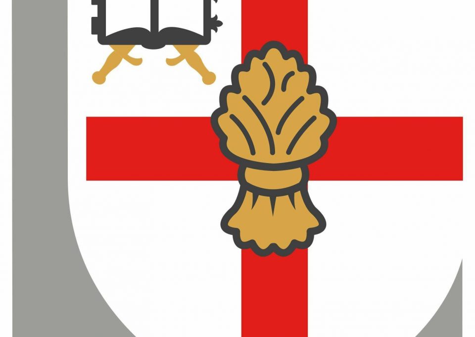 327288701_920678525601463_1484658187702752793_n