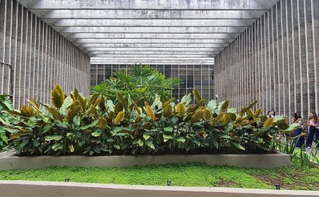 missao brasilia 3