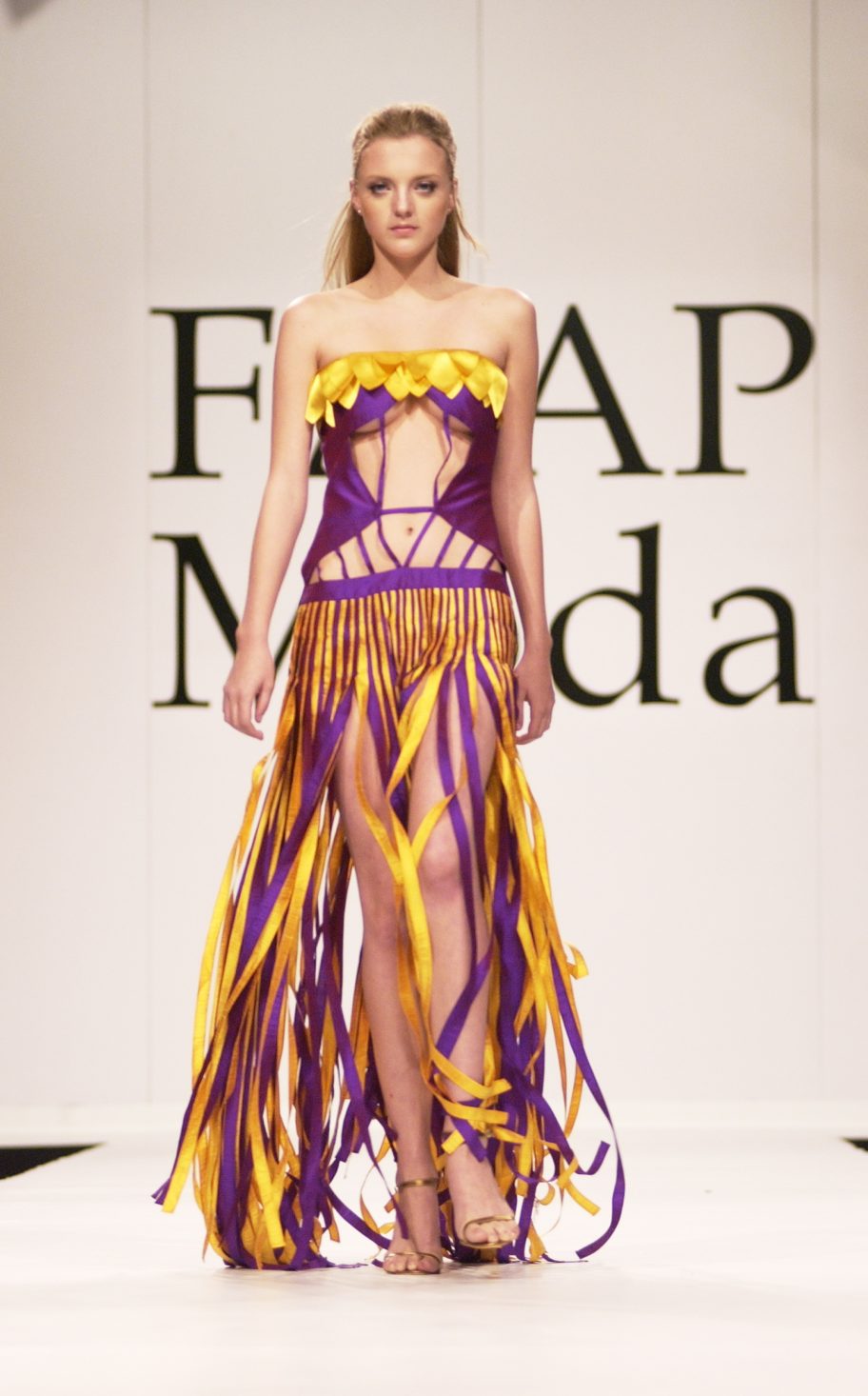 Faculdade de Artes Plásticas – 2º FAAP Moda 2005