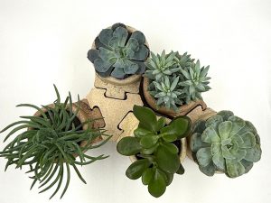 00aa49ca-bdfb-405d-8476-47f7f52b9ced