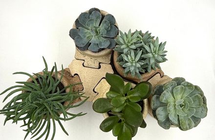 00aa49ca-bdfb-405d-8476-47f7f52b9ced