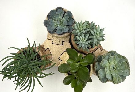 00aa49ca-bdfb-405d-8476-47f7f52b9ced