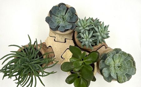 00aa49ca-bdfb-405d-8476-47f7f52b9ced