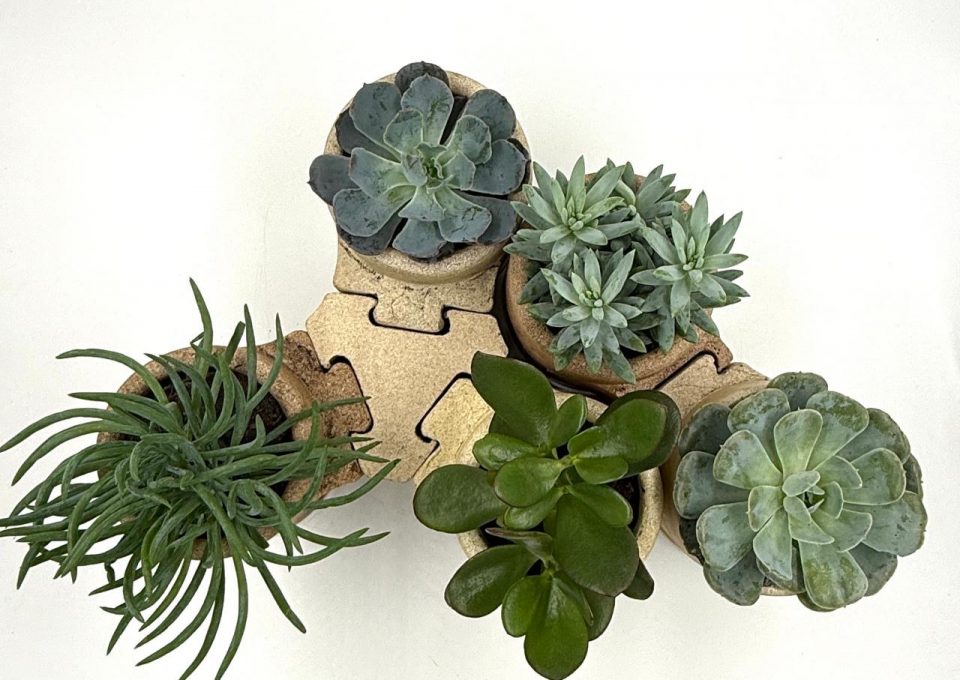 00aa49ca-bdfb-405d-8476-47f7f52b9ced