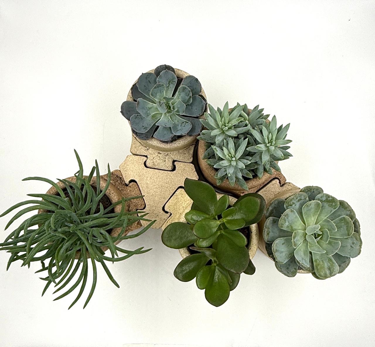 00aa49ca-bdfb-405d-8476-47f7f52b9ced