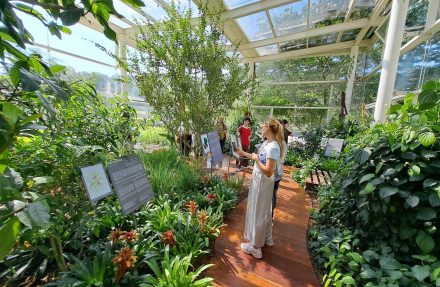 AnyConv.com__Natura 4