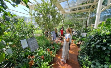 AnyConv.com__Natura 4