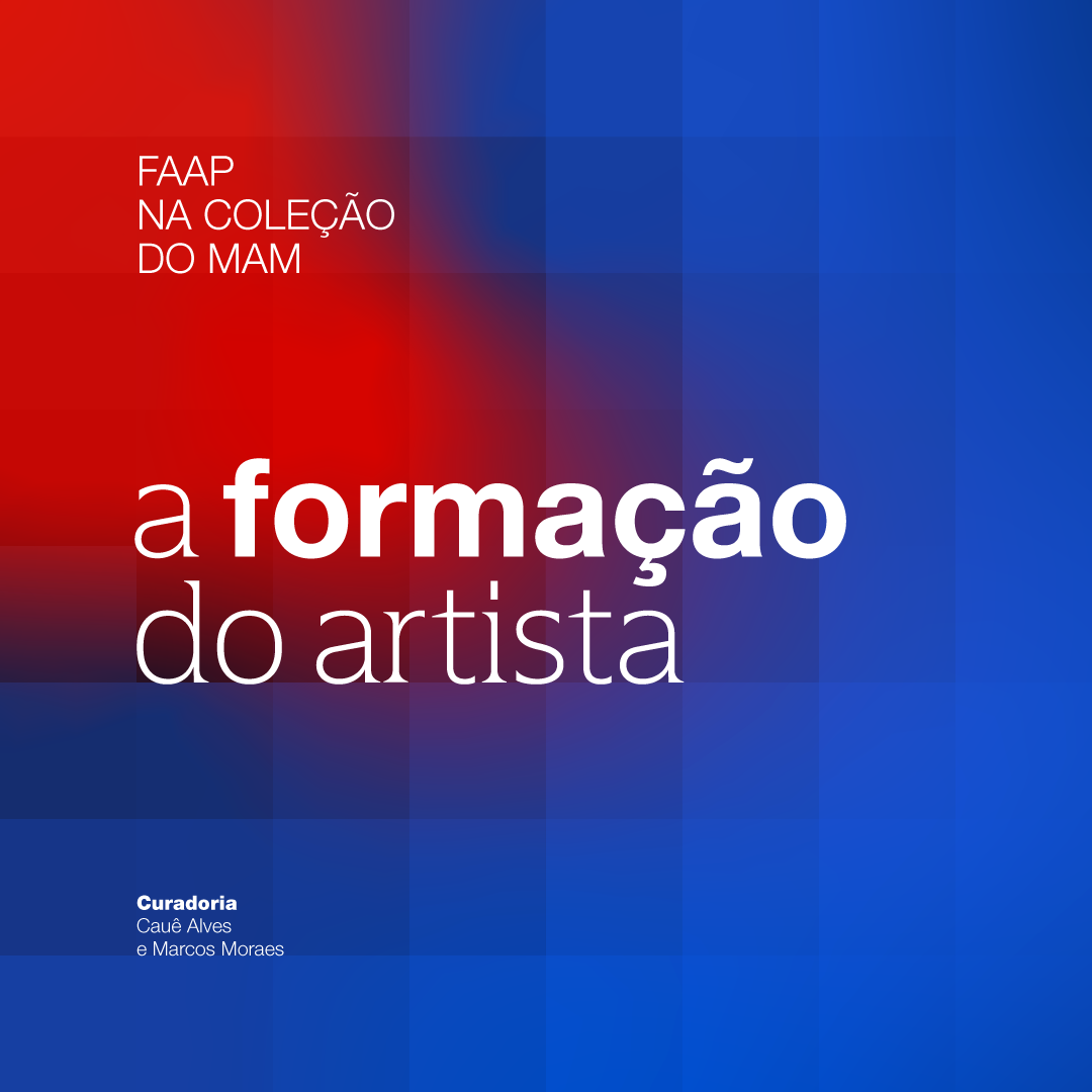 FAAP-na-coleção-do-MAM-a-formação-do-artista-banner-materia