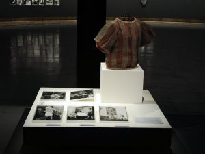 Imagem de referencia para exposição em SP 18 out